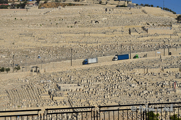 DSC_2026
