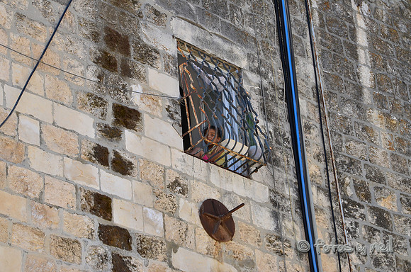DSC_1967