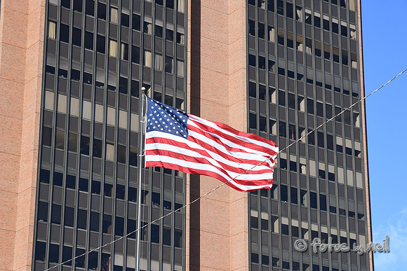 DSC_2326