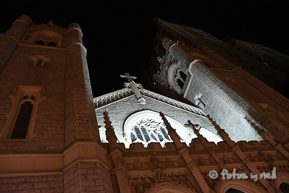 DSC_2567