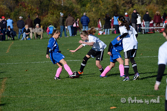 _DSC6556