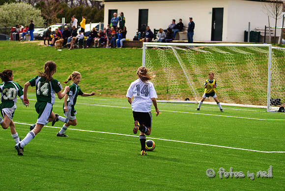 _DSC0561