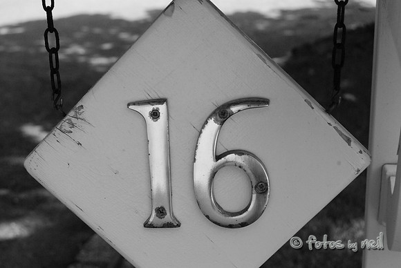 DSC_8035b