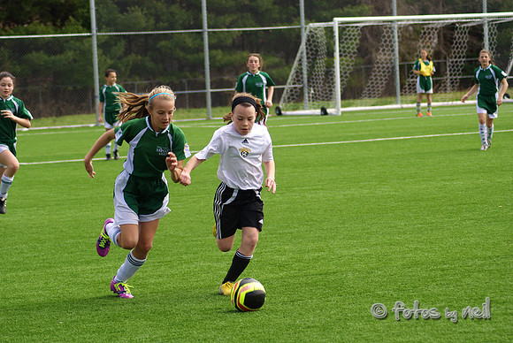_DSC0528