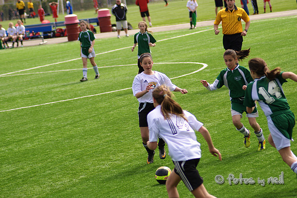 _DSC0569