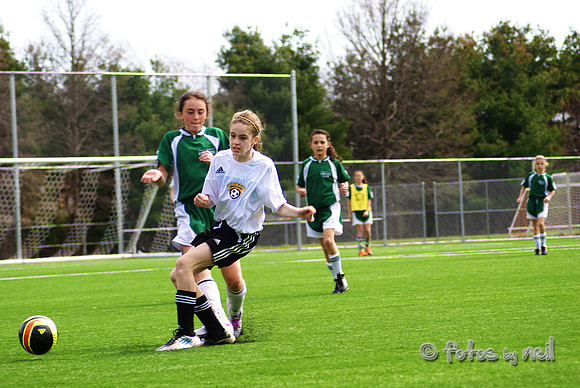 _DSC0504