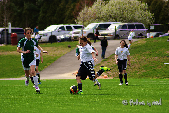 _DSC0496
