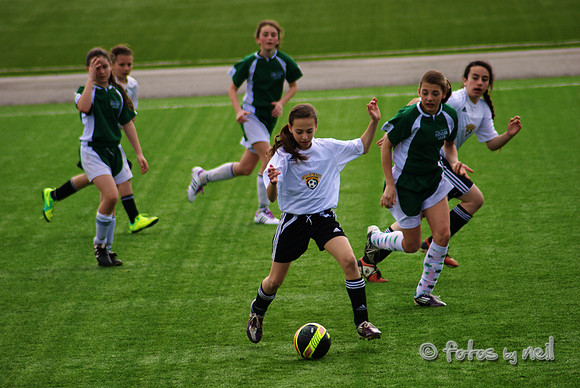 _DSC0639