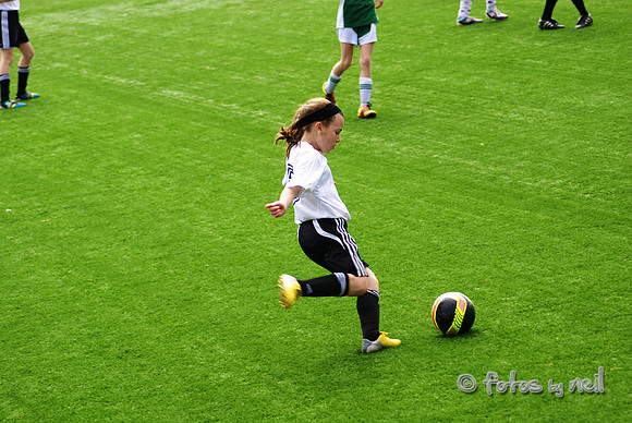 _DSC0584