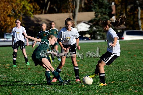 _DSC8091