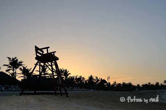 _DSC4099