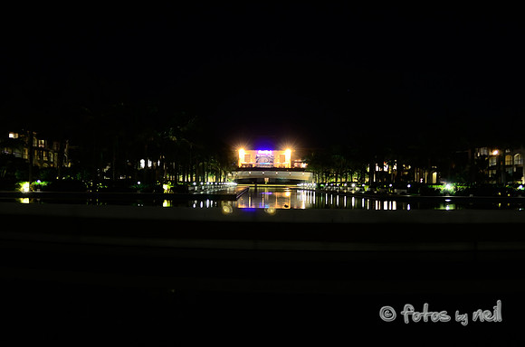 _DSC3951