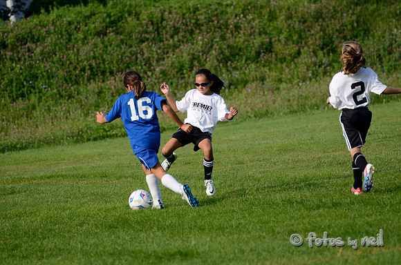 _DSC1501
