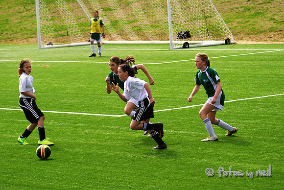 _DSC0576