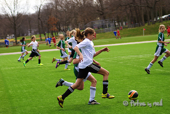 _DSC0560