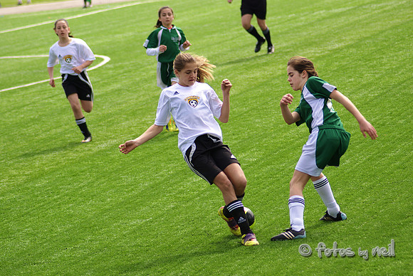 _DSC0568