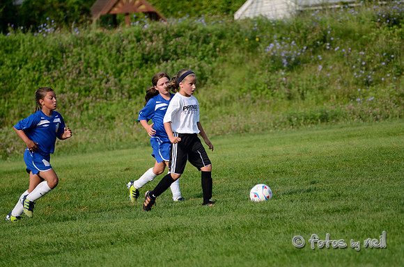 _DSC1514