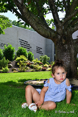 DSC_8023