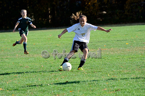 _DSC8156