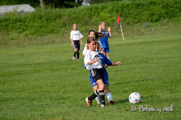 _DSC1551