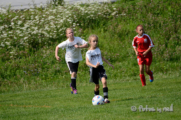 _DSC1645