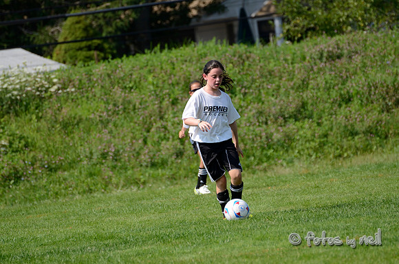 _DSC1666