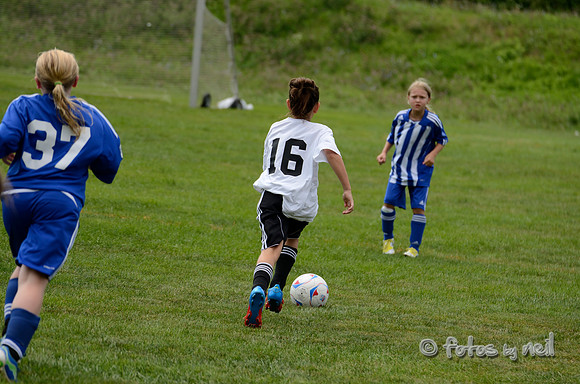 _DSC1790