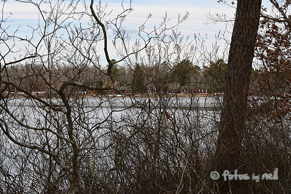 DSC_2547