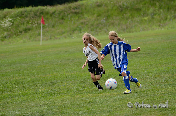 _DSC1774