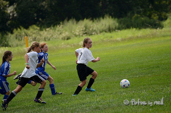 _DSC1773
