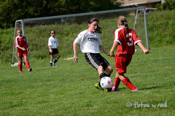 _DSC1668