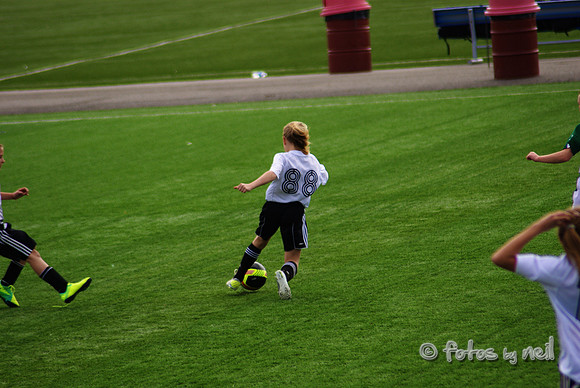 _DSC0641