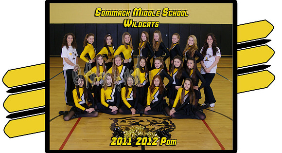 pomteam3wm looks great on apparel