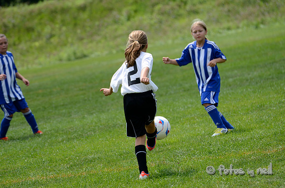 _DSC1799