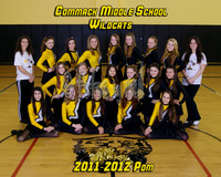 pomteam2wm